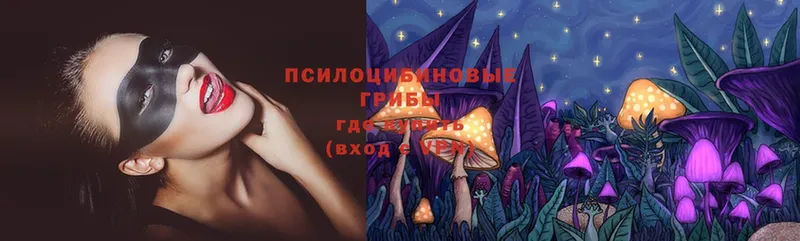 Галлюциногенные грибы Magic Shrooms  как найти   Котовск 